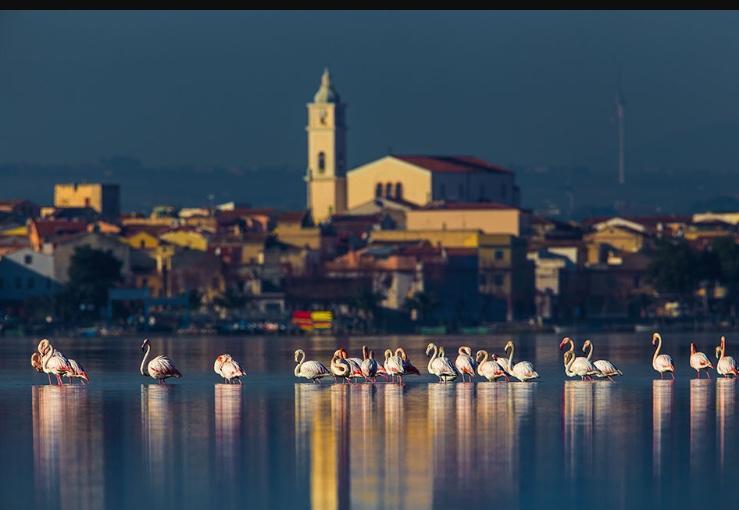 Casale Villa Giulia Marina Di Lesina Buitenkant foto